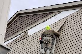 Best Siding Painting and Refinishing  in Citrus Hills, FL